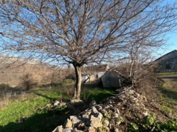 Prodaja, plac, 39312m², Podgorica, Crna Gora