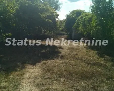 Sale, land lot, 2200m², Begeč, Novi Sad Sve Podlokacije - image 5