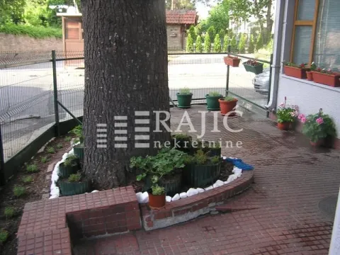 Terrace with a tree and decorative plants in front of the house. - image 11