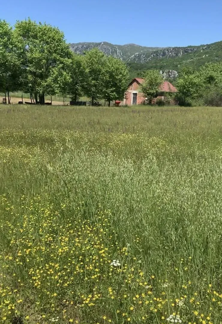 Prodaja, plac, 4650m², Podgorica, Crna Gora