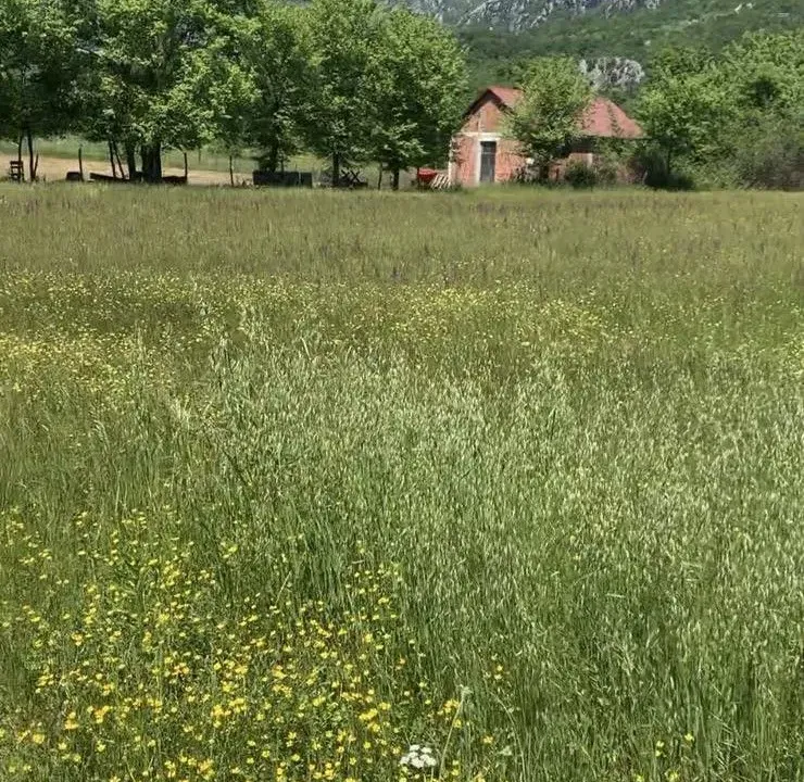 Sale, land lot, 4650m², Podgorica, Crna Gora