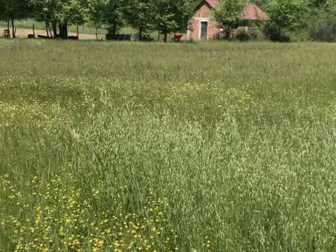 Prodaja, plac, 4650m², Podgorica, Crna Gora - image 1