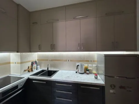 Izdavanje, jednosoban stan, 42m², Preko Morače, Podgorica - image 10