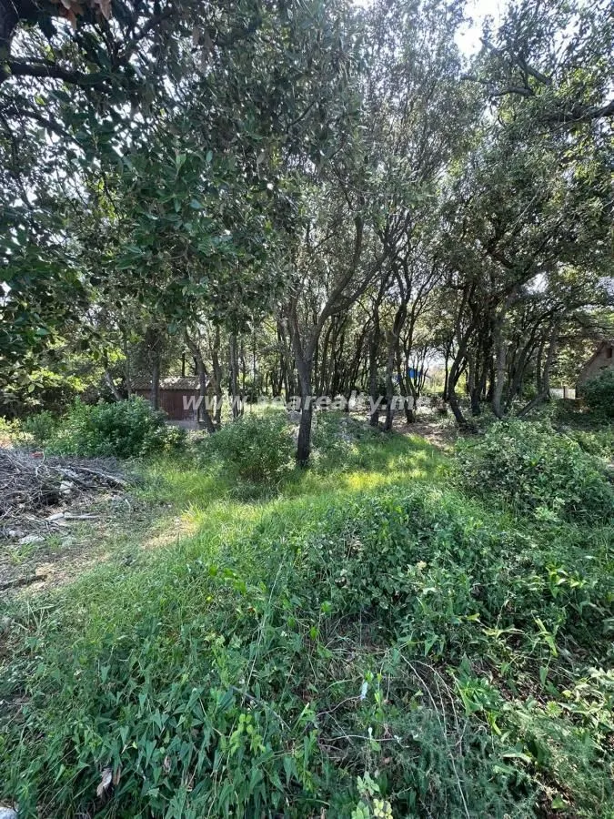 Prodaja, plac, 900m², Utjeha, Bar