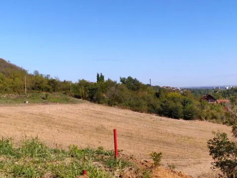 Sale, land lot, 700m², Sremska Kamenica, Petrovaradin - image 19