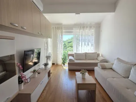 Stan-na-dan, jednosoban stan, 44m², Pržno, Budva - image 8