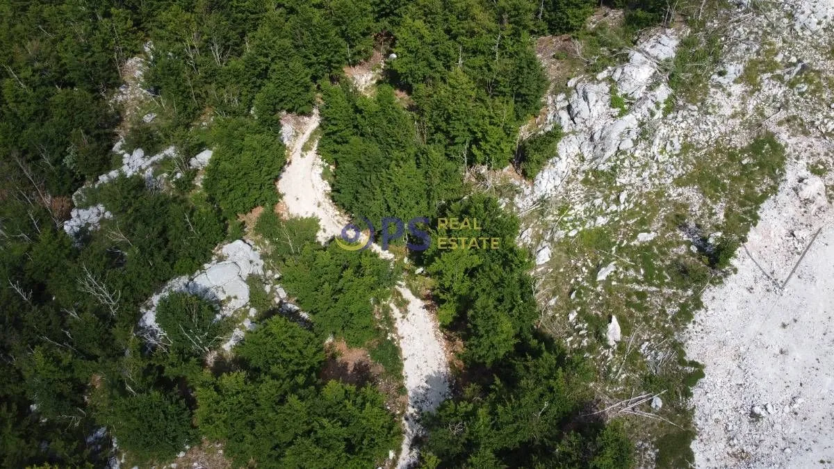 Prodaja, plac, 55000m², Cetinje, Crna Gora