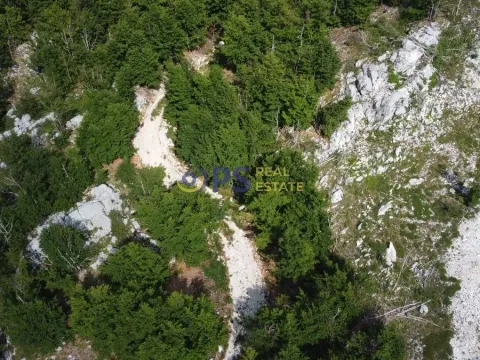 Prodaja, plac, 55000m², Cetinje, Crna Gora - image 4