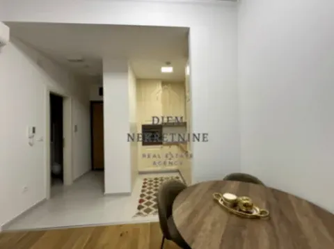 Izdavanje, jednosoban stan, 45m², Gornja Gorica, Podgorica - image 10