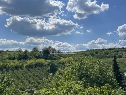 Prodaja, kuća, 341m², Grocka, Beograd - image 11