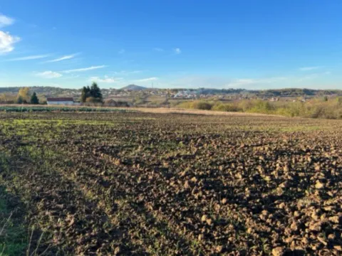 Prodaja, plac, 8900m², Vrčin, Grocka - image 5