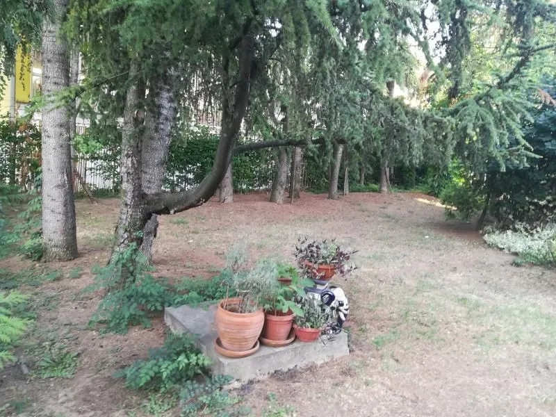 Izdavanje, kuća, 1150m², Karaburma, Palilula Sve Podlokacije
