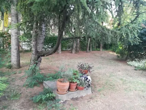 Izdavanje, kuća, 1150m², Karaburma, Palilula Sve Podlokacije - image 20