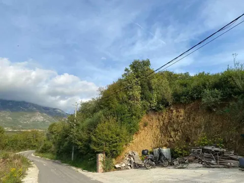 Pogled na prilazni put i okolni teren sa rastinjem. - image 9