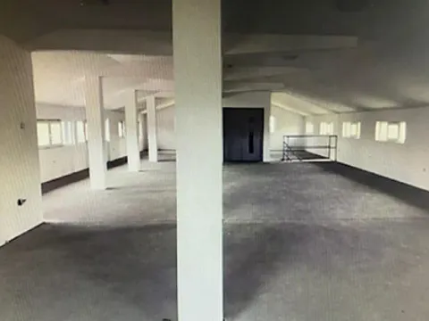 Izdavanje, poslovni prostor, 900m², Altina, Beograd - image 8