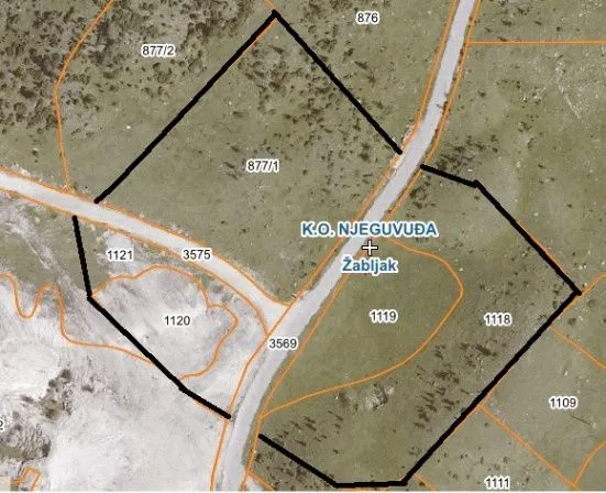 Sale, land lot, 20000m², Njegovuđa, Žabljak