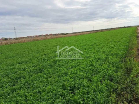 Prodaja, plac, 6156m², Batajnica, Beograd - image 4