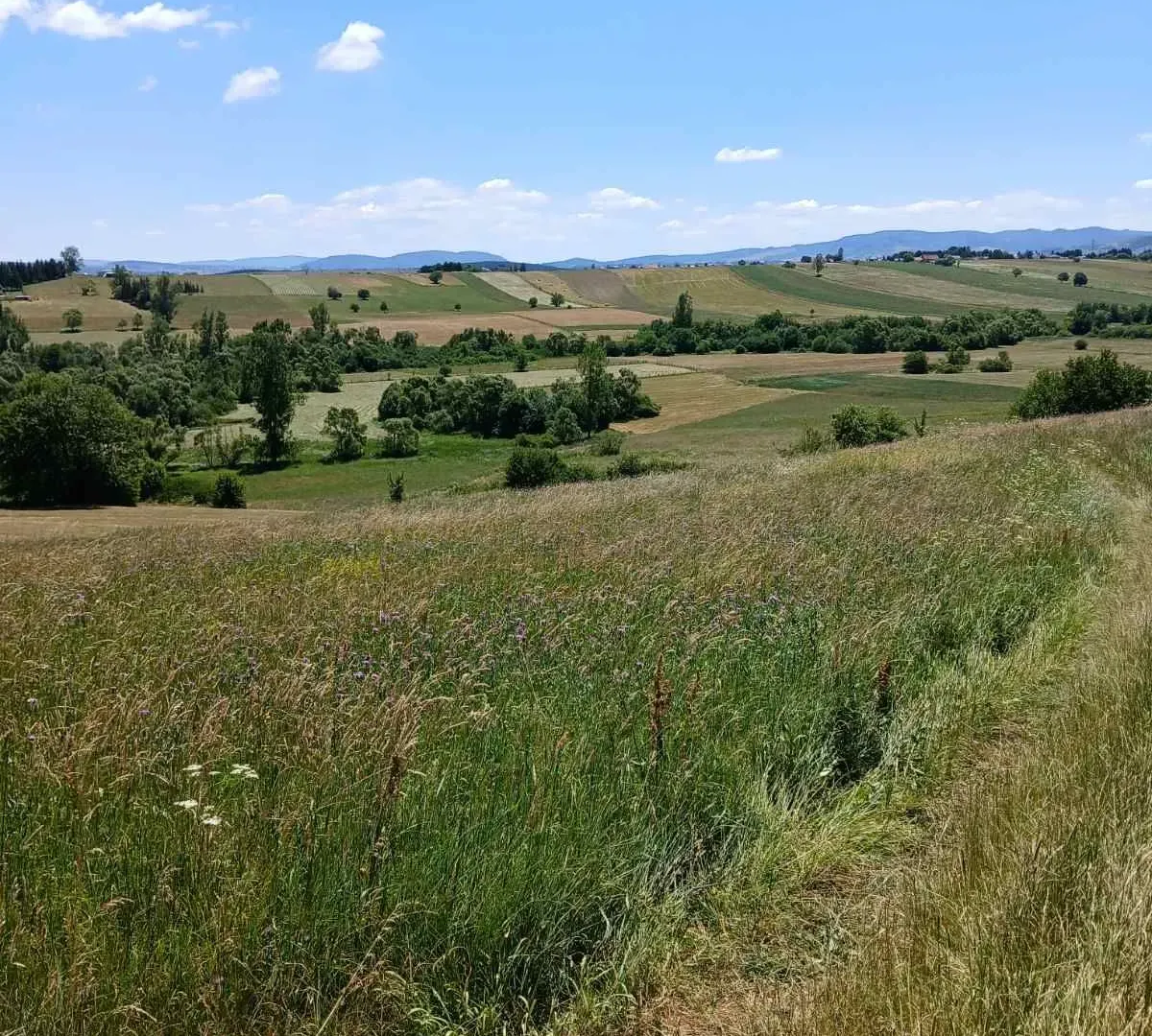 Sale, land lot, 150m², Novi Pazar, Srbija