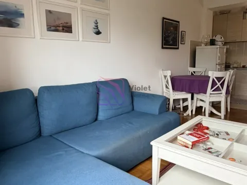 Izdavanje, jednosoban stan, 45m², Preko Morače, Podgorica - image 7