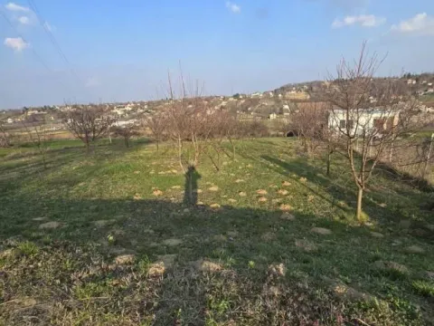 Prodaja, plac, 1200m², Karagača, Petrovaradin - image 2