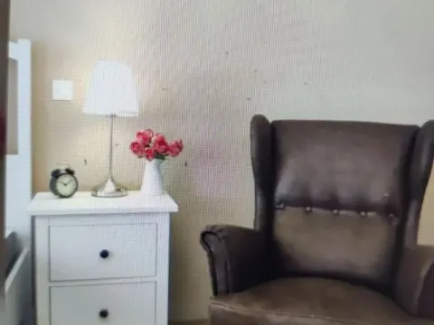 Izdavanje, trosoban stan, 55m², Vračar Hram, Vračar Sve Podlokacije - image 4