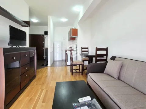Rent, one bedroom apartment, 36m², Stari Aerodrom, Podgorica - image 2
