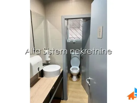 Rent, office space, 250m², Bogoslovija, Palilula Sve Podlokacije - image 12