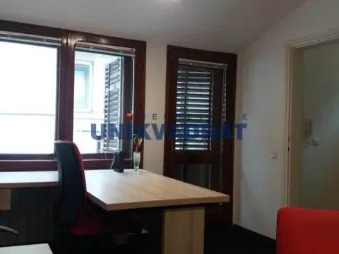 Rent, office space, 65m², Lion, Zvezdara Sve Podlokacije - image 16