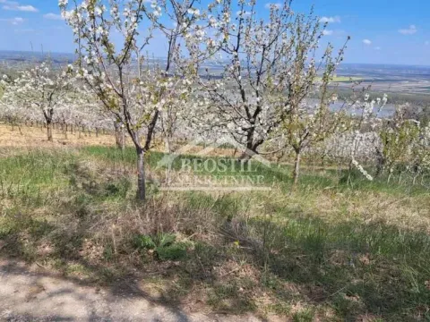 Prodaja, plac, 1800m², Ritopek, Grocka - image 2