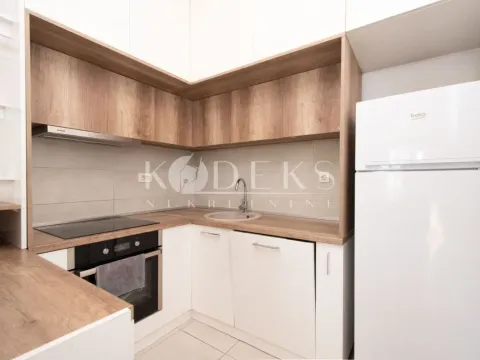 Izdavanje, jednosoban stan, 53m², Ljubović, Podgorica - image 4