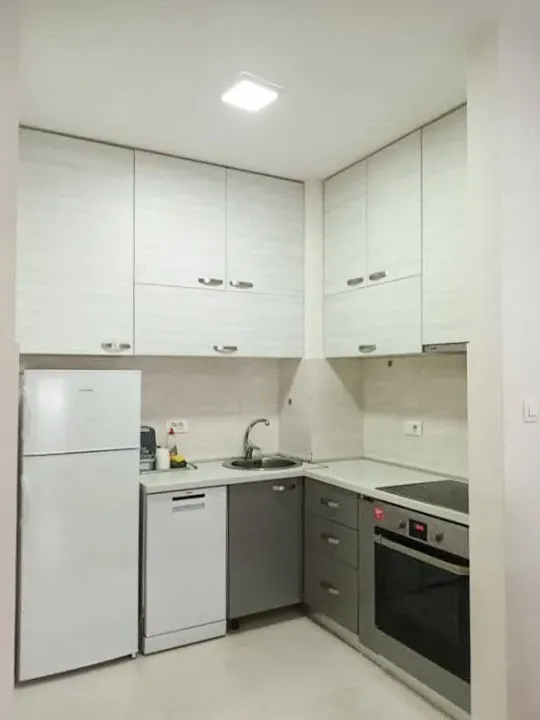 Izdavanje, jednosoban stan, 45m², Central Point, Podgorica