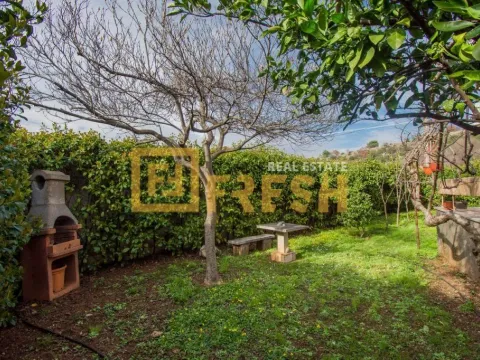 Sale, house, 300m², Dalmatinska ulica, Podgorica - image 24