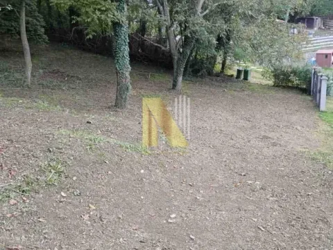 Prodaja, kuća, 160m², Rakovac, Novi Sad Sve Podlokacije - image 3