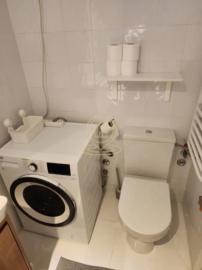 Izdavanje, dvosoban stan, 35m², Kluz, Zvezdara Sve Podlokacije