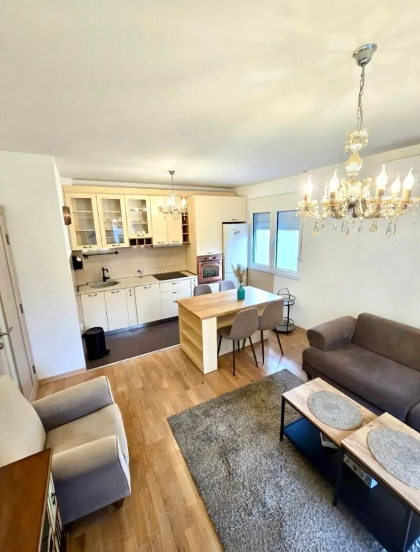 Izdavanje, jednosoban stan, 45m², Preko Morače, Podgorica