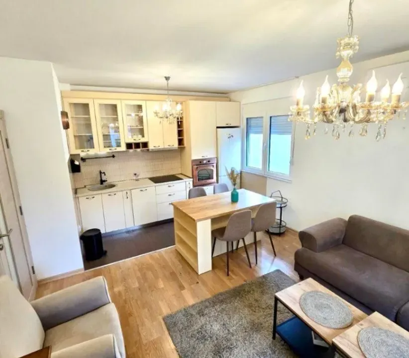 Izdavanje, jednosoban stan, 45m², Preko Morače, Podgorica