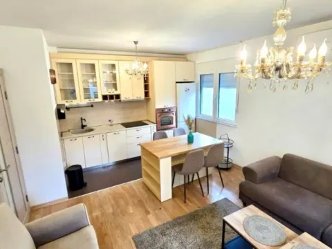 Izdavanje, jednosoban stan, 45m², Preko Morače, Podgorica - image 1