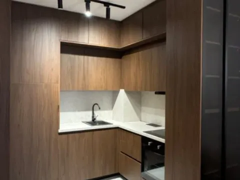 Izdavanje, jednosoban stan, 43m², Central Point, Podgorica - image 13