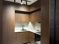 Izdavanje, jednosoban stan, 43m², Central Point, Podgorica - image 13