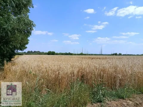 Sale, land lot, 7500m², Stubline, Obrenovac - image 2