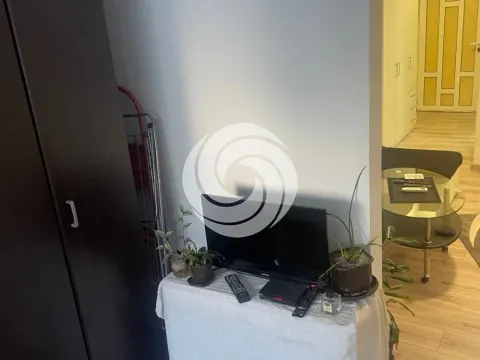 Izdavanje, trosoban stan, 46m², Voždovac Sve Podlokacije, Beograd - image 12