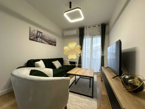 Izdavanje, jednosoban stan, 40m², Central Point, Podgorica - image 7