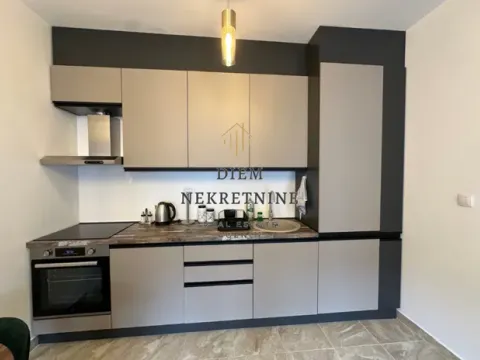 Rent, one bedroom apartment, 45m², Zabjelo, Podgorica - image 11
