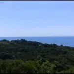 Prodaja, plac, 437m², Zagora, Kotor - image 4