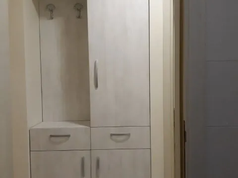 Izdavanje, jednosoban stan, 44m², Zagorič, Podgorica - image 14