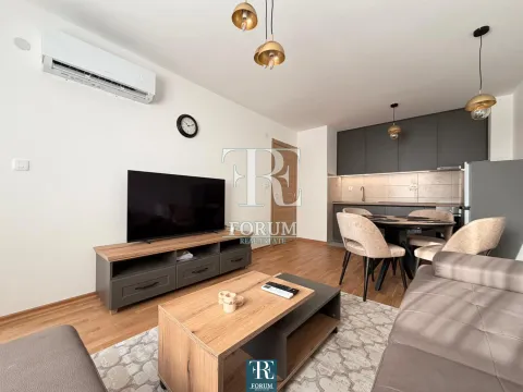 Izdavanje, jednosoban stan, 40m², Stari Aerodrom, Podgorica - image 3