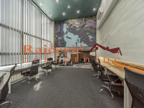 Prodaja, poslovni prostor, 315m², Banovo Brdo, Beograd - image 2