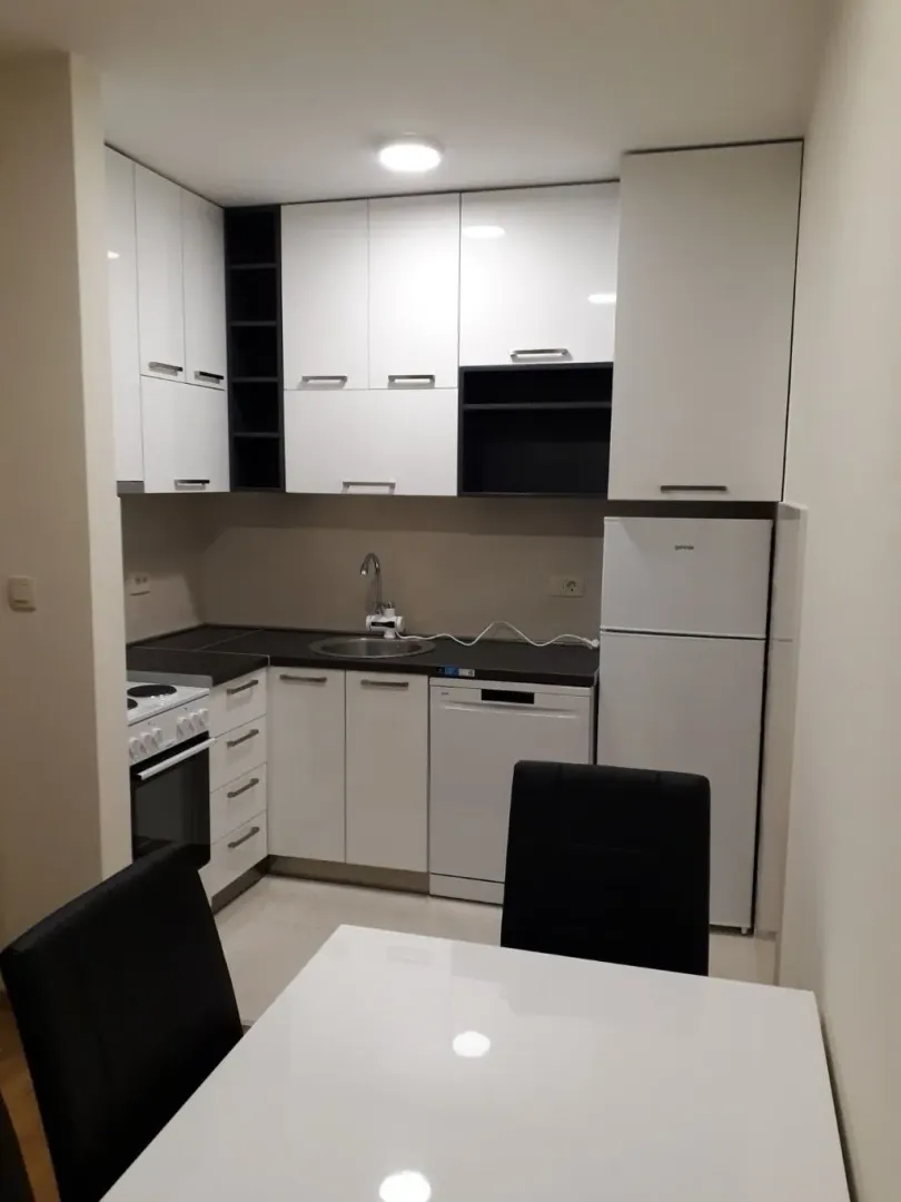 Rent, one bedroom apartment, 44m², Zagorič, Podgorica