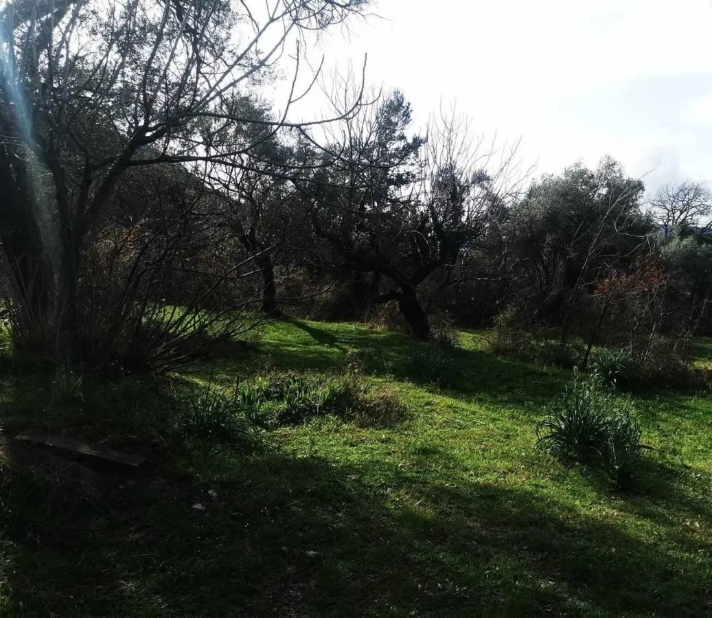 Prodaja, plac, 2100m², Kavač, Kotor
