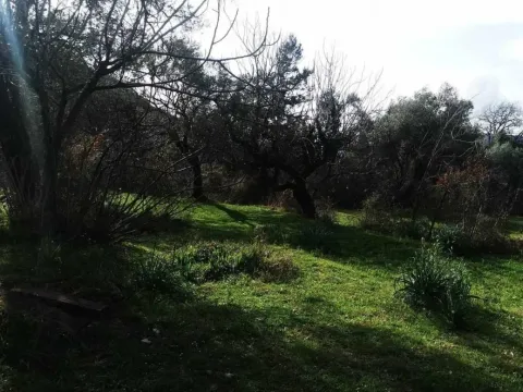 Prodaja, plac, 2100m², Kavač, Kotor - image 2